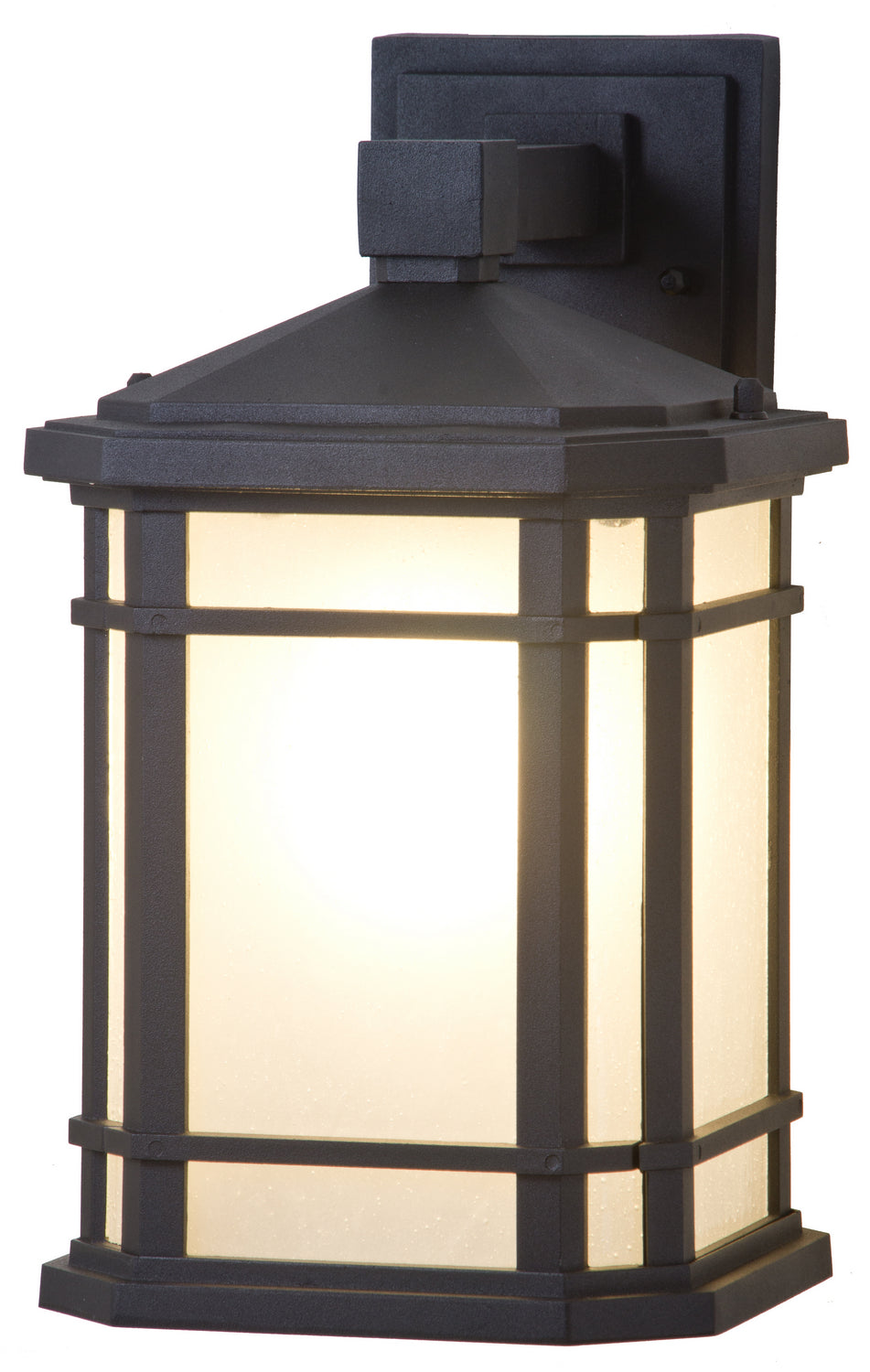 Cardiff Outdoor One Light Outdoor Wall Sconce in Black w/Sandblasted Seedy Glass - available from The Lighting Shoppe, trusted by Canadian homeowners