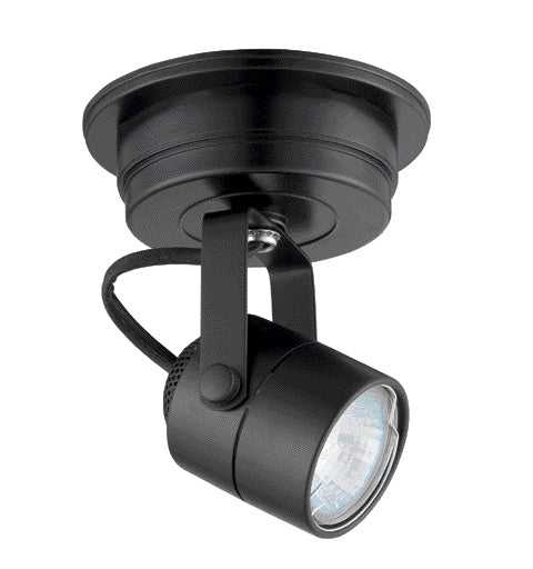 Spotlight One Light Monopoint in Black Kendal Canada