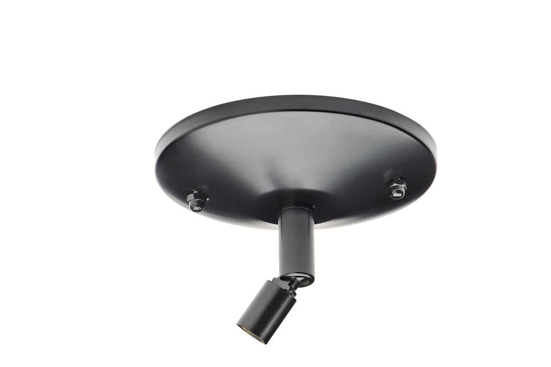 Track Accessory Swivel Canopy for Stem Kit in Black Kendal Canada