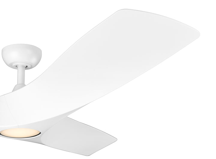 Perenne 62" Ceiling Fan