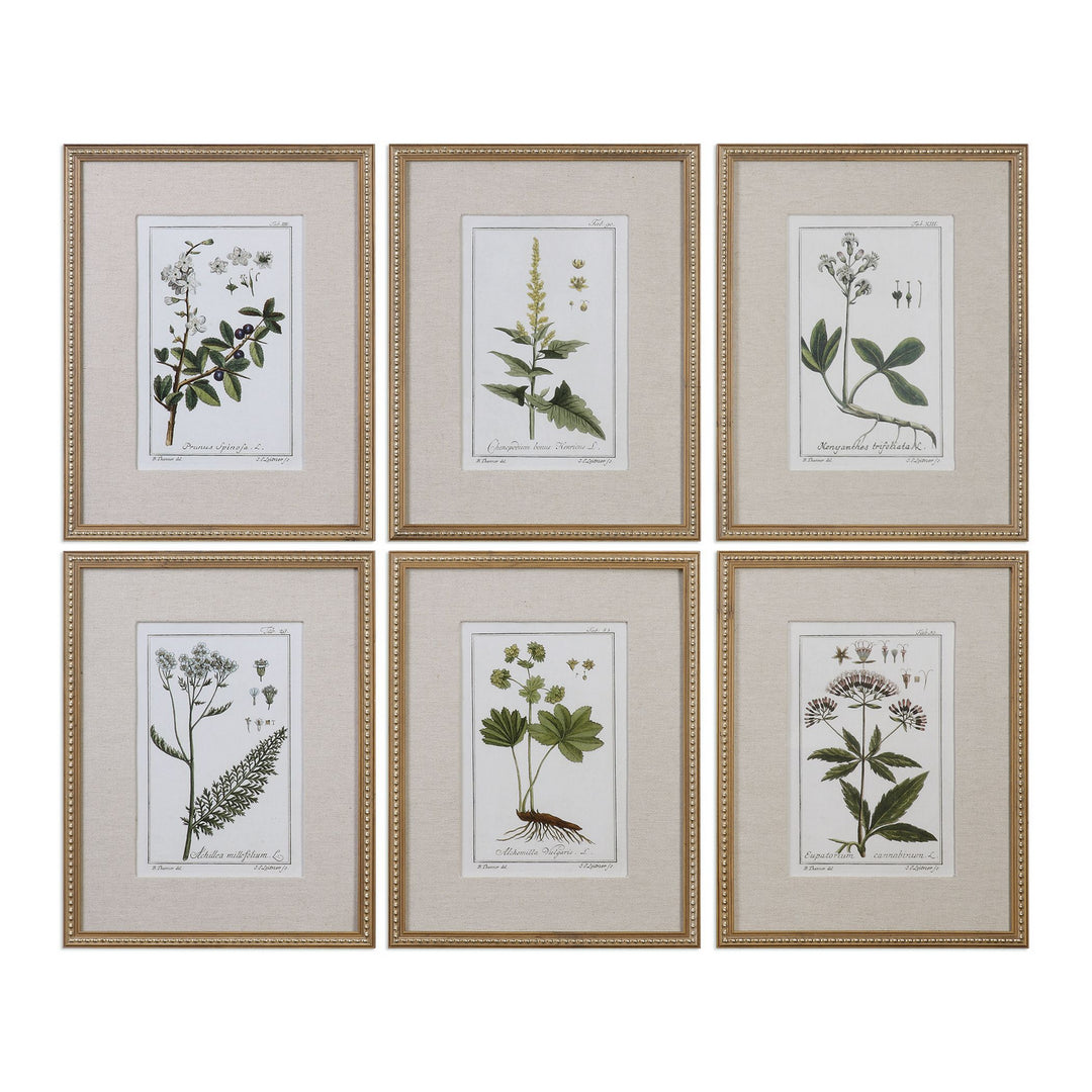 Green Floral Botanical Study Wall Art in Gold Leaf - available from The Lighting Shoppe, trusted by Canadian homeowners