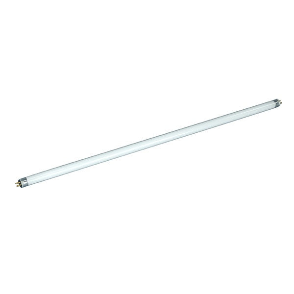 Light Bulb in Clear - available from The Lighting Shoppe, trusted by Canadian homeowners