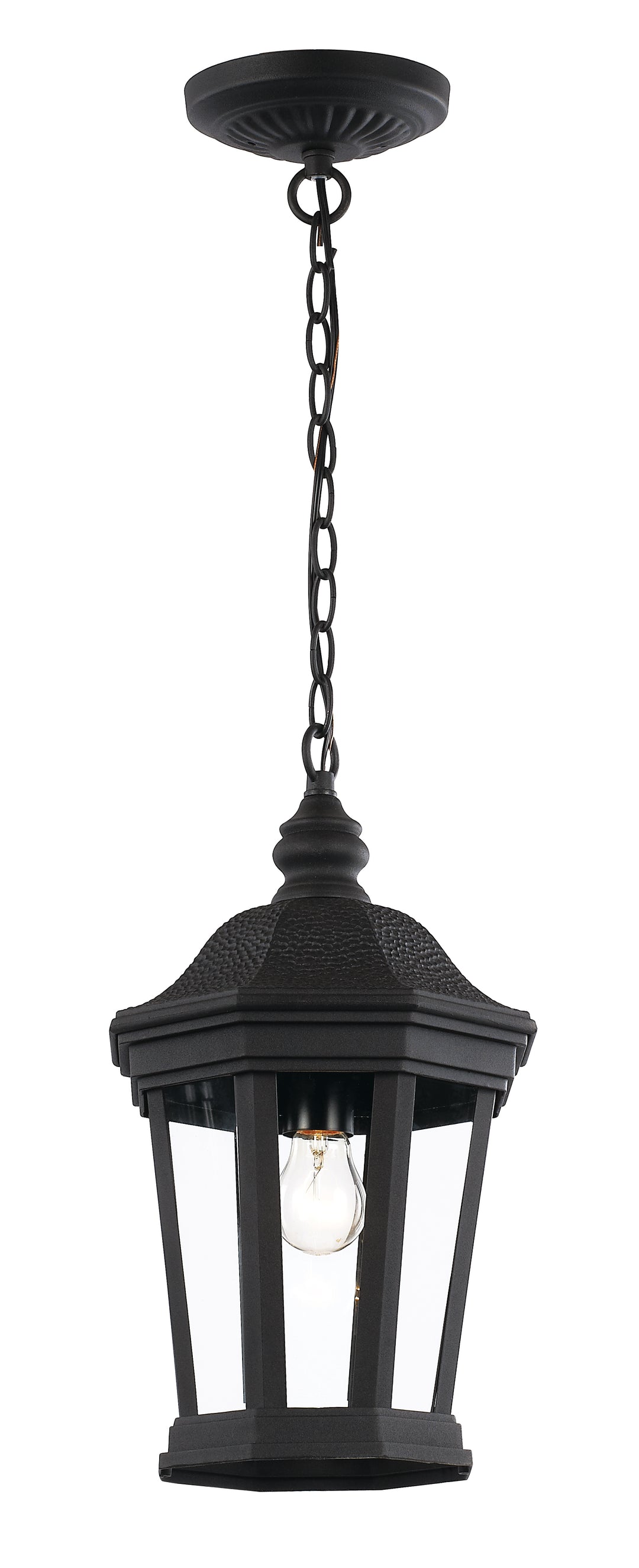 Westfield One Light Hanging Lantern in Black - available from The Lighting Shoppe, trusted by Canadian homeowners