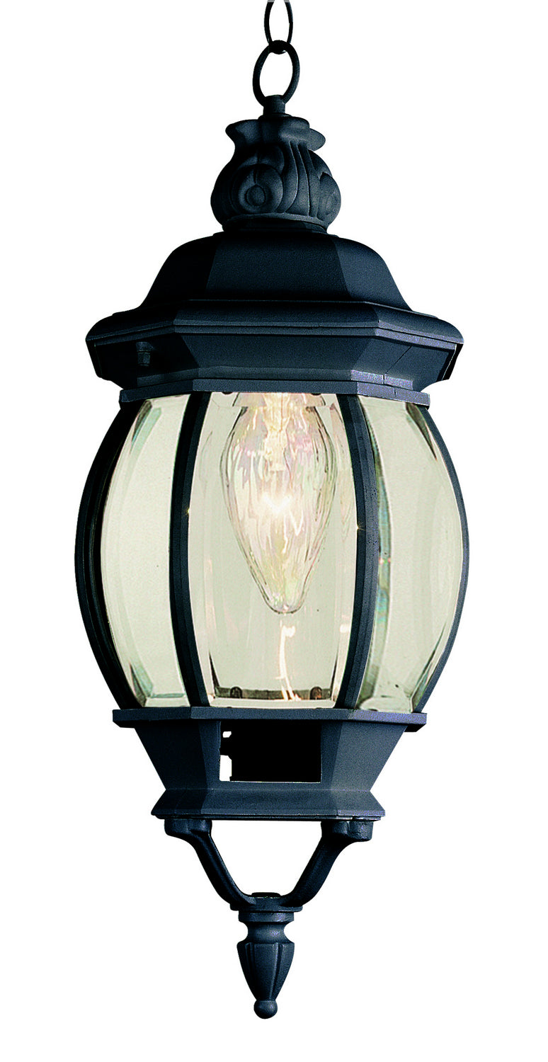 Parsons One Light Hanging Lantern in Black - available from The Lighting Shoppe, trusted by Canadian homeowners