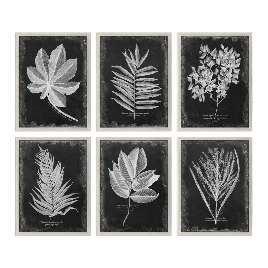 Foliage Wall Art in Champagne Silver - available from The Lighting Shoppe, trusted by Canadian homeowners
