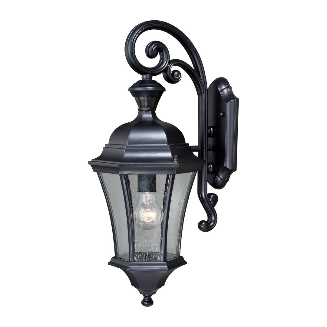 Aberdeen One Light Motion Sensor Outdoor Wall Light in Shiny Black