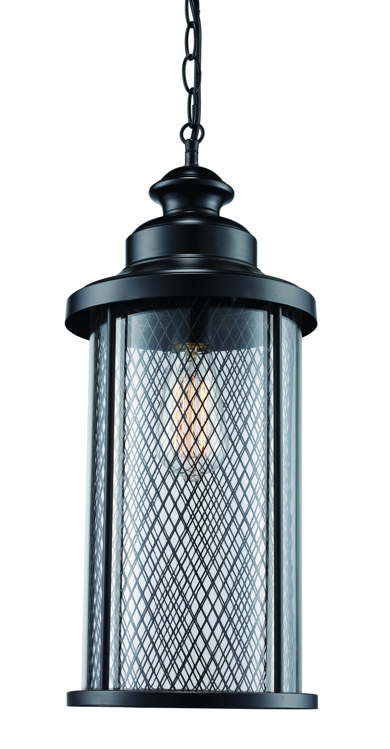 Stewart One Light Hanging Lantern in Black - available from The Lighting Shoppe, trusted by Canadian homeowners