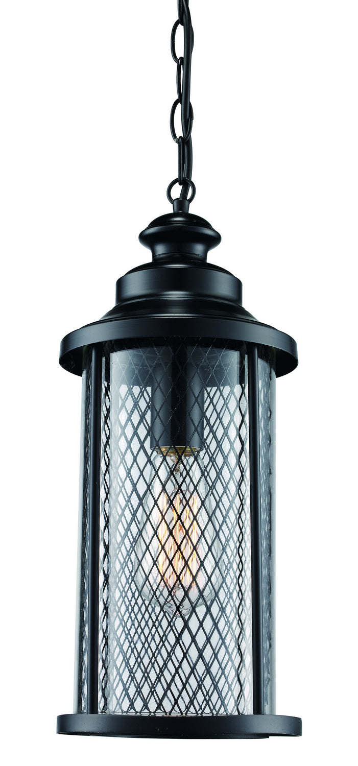 Stewart One Light Hanging Lantern in Black - available from The Lighting Shoppe, trusted by Canadian homeowners