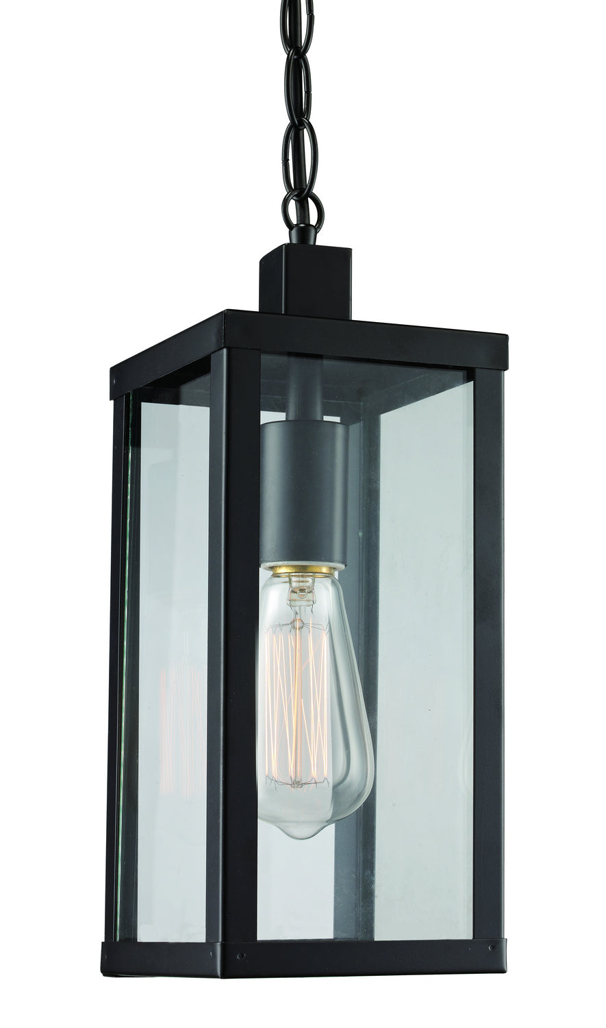 Oxford One Light Hanging Lantern in Black - available from The Lighting Shoppe, trusted by Canadian homeowners