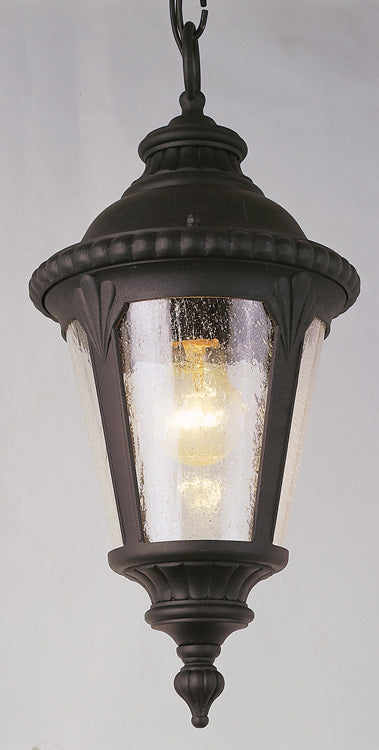 Commons One Light Hanging Lantern in Black - available from The Lighting Shoppe, trusted by Canadian homeowners