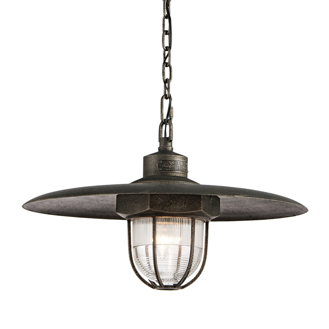 Troy Lighting Canada - F3897-APW - One Light Pendant - Acme - Aged Pewter
