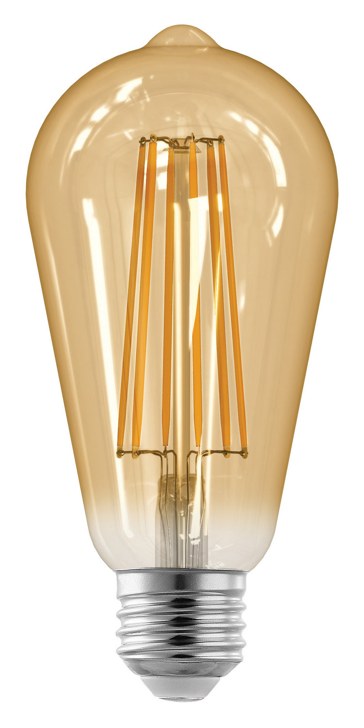ST21 LED Light Bulb in Amber - available from The Lighting Shoppe, trusted by Canadian homeowners