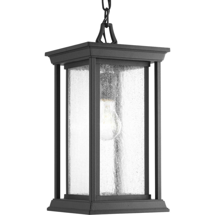 Progress Canada - P5500-31 - One Light Hanging Lantern - Endicott - Black