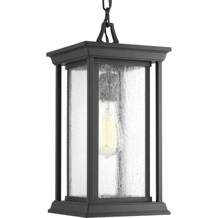 Progress Canada - P5500-31 - One Light Hanging Lantern - Endicott - Black