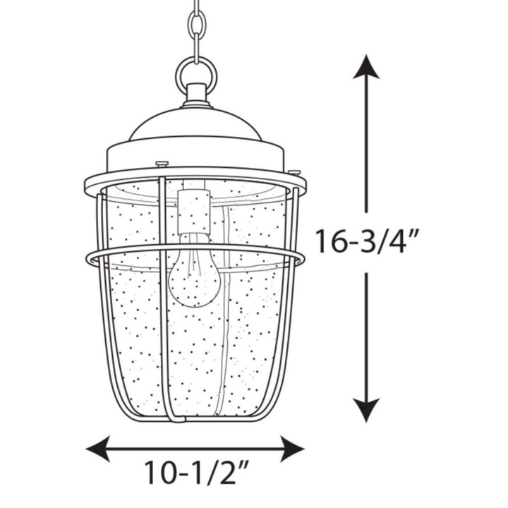 Progress Canada - P550025-031 - One Light Hanging Lantern - Holcombe - Black