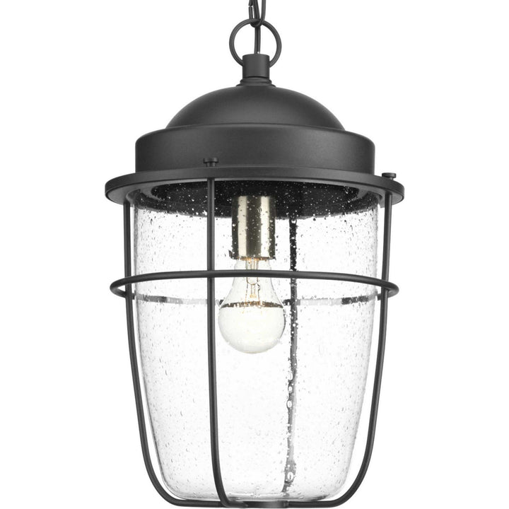 Progress Canada - P550025-031 - One Light Hanging Lantern - Holcombe - Black