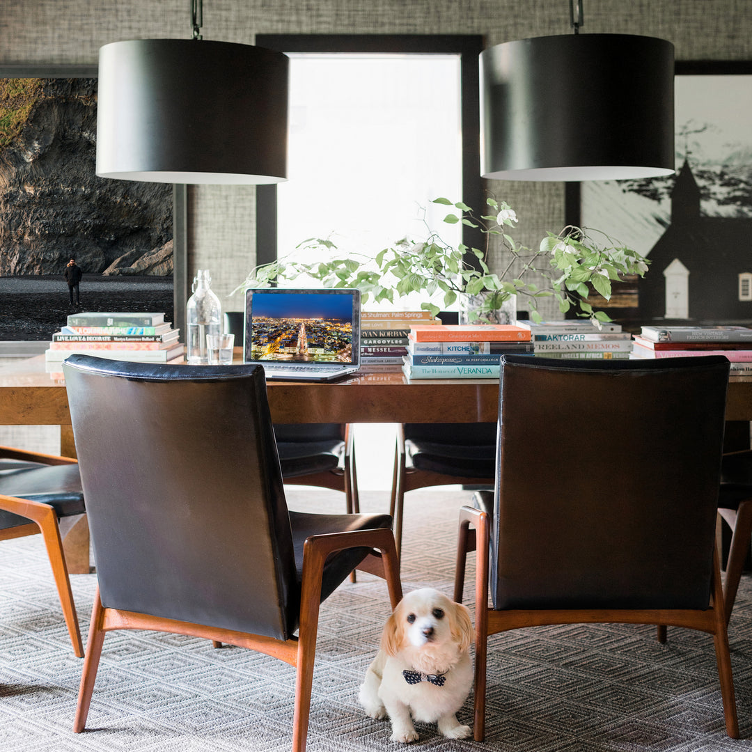 Crystorama - 8686-MK-WH - Six Light Chandelier - Alston - Matte Black + White