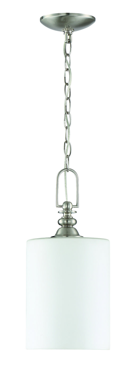 Dardyn One Light Mini Pendant in Brushed Polished Nickel - available from The Lighting Shoppe, trusted by Canadian homeowners