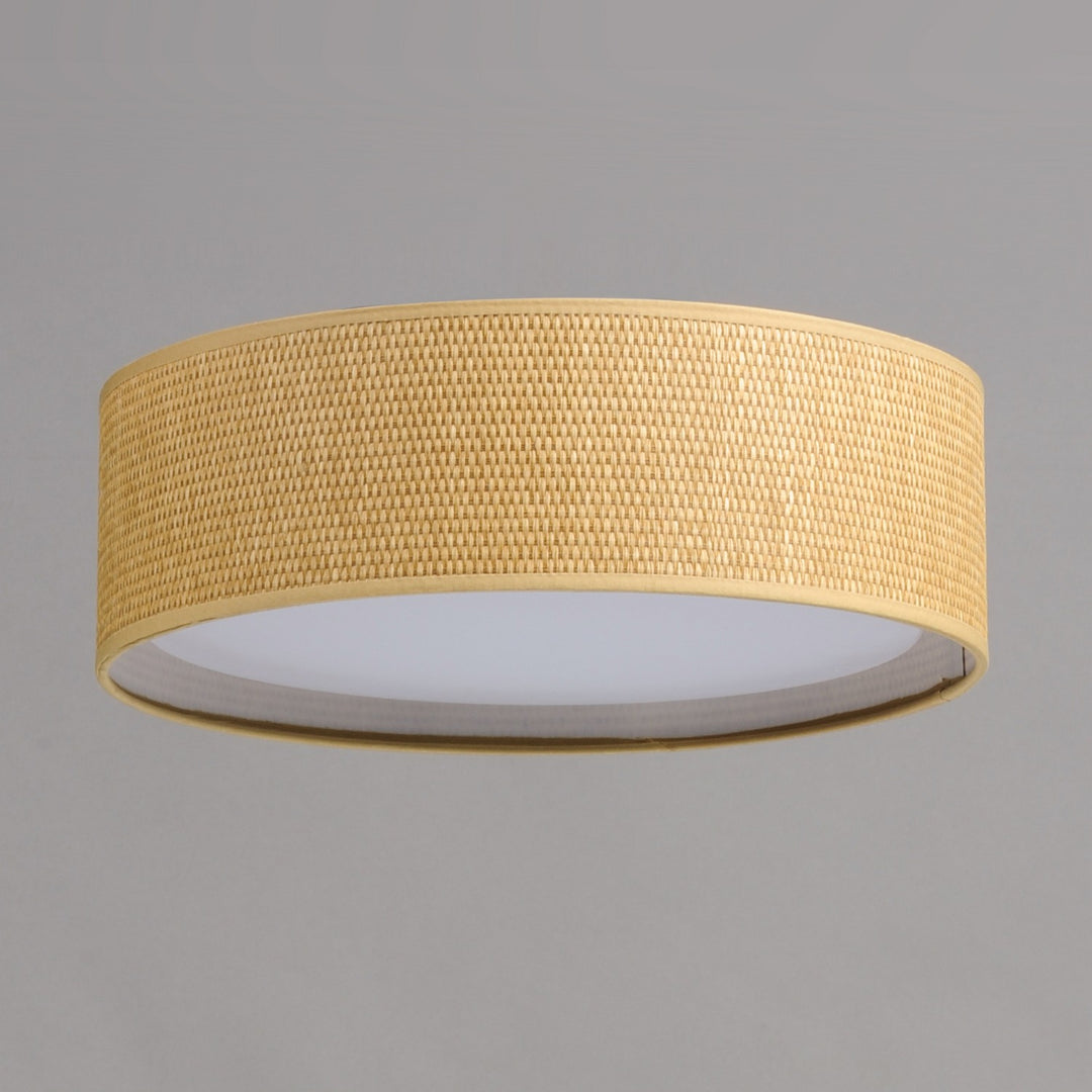 Maxim - 10220GC - LED Flush Mount - Prime