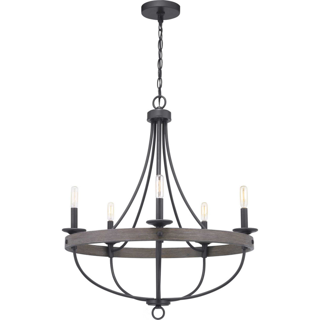 Progress Canada - P400158-143 - Five Light Chandelier - Gulliver - Graphite