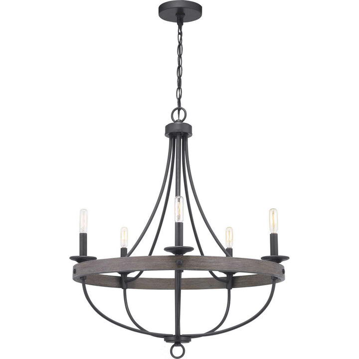 Progress Canada - P400158-143 - Five Light Chandelier - Gulliver - Graphite