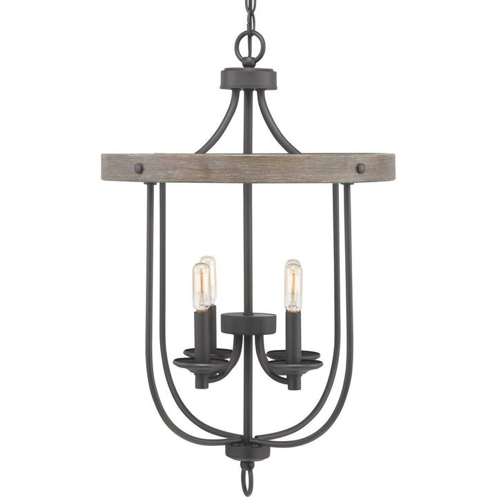 Progress Canada - P500157-143 - Four Light Foyer Pendant - Gulliver - Graphite