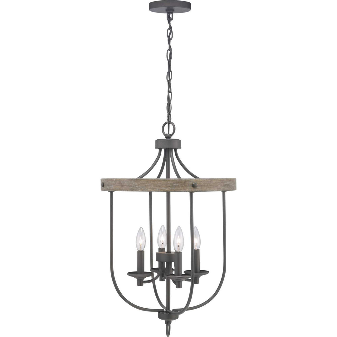 Progress Canada - P500157-143 - Four Light Foyer Pendant - Gulliver - Graphite