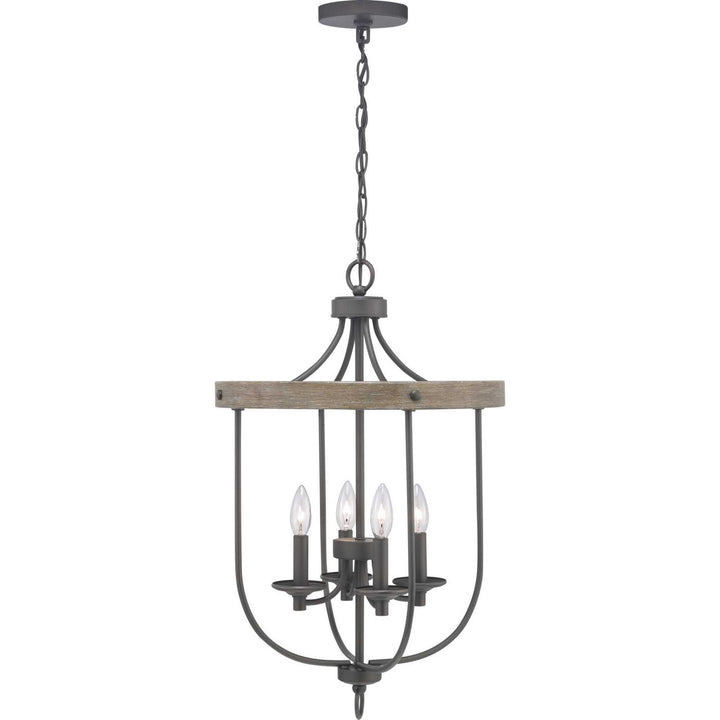 Progress Canada - P500157-143 - Four Light Foyer Pendant - Gulliver - Graphite