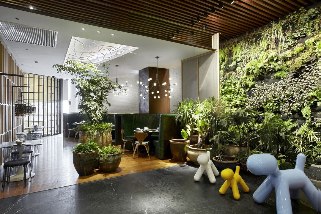 Kuzco Canada - CH97358-BK - LED Chandelier - Moto - Black