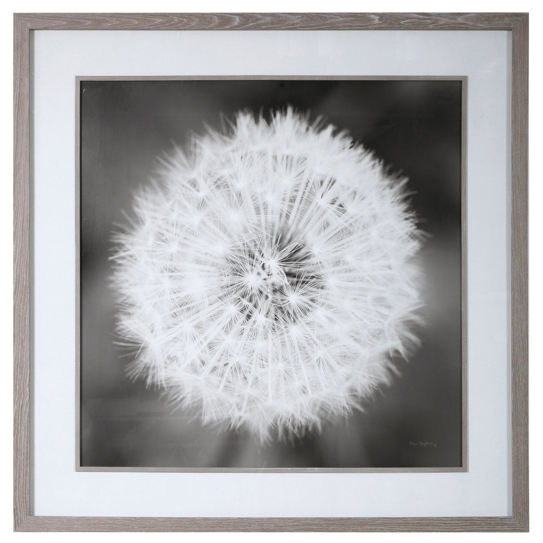 Dandelion Seedhead Framed Print in Driftwood Look - available from The Lighting Shoppe, trusted by Canadian homeowners