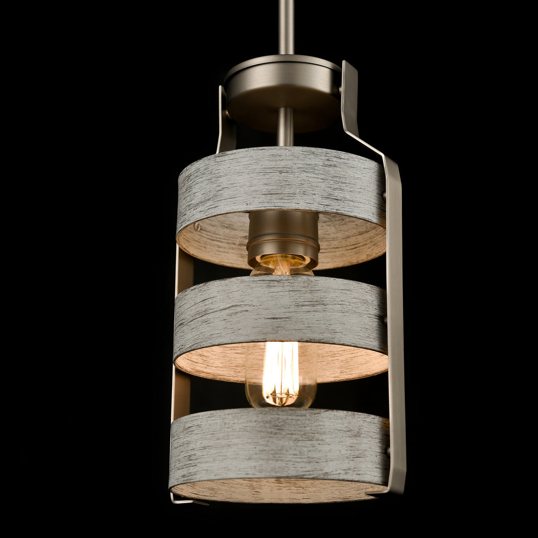 DVI Canada - DVP41821BN+BIW - One Light Mini-Pendant - Fort Garry - Buffed Nickel/Birchwood On Metal