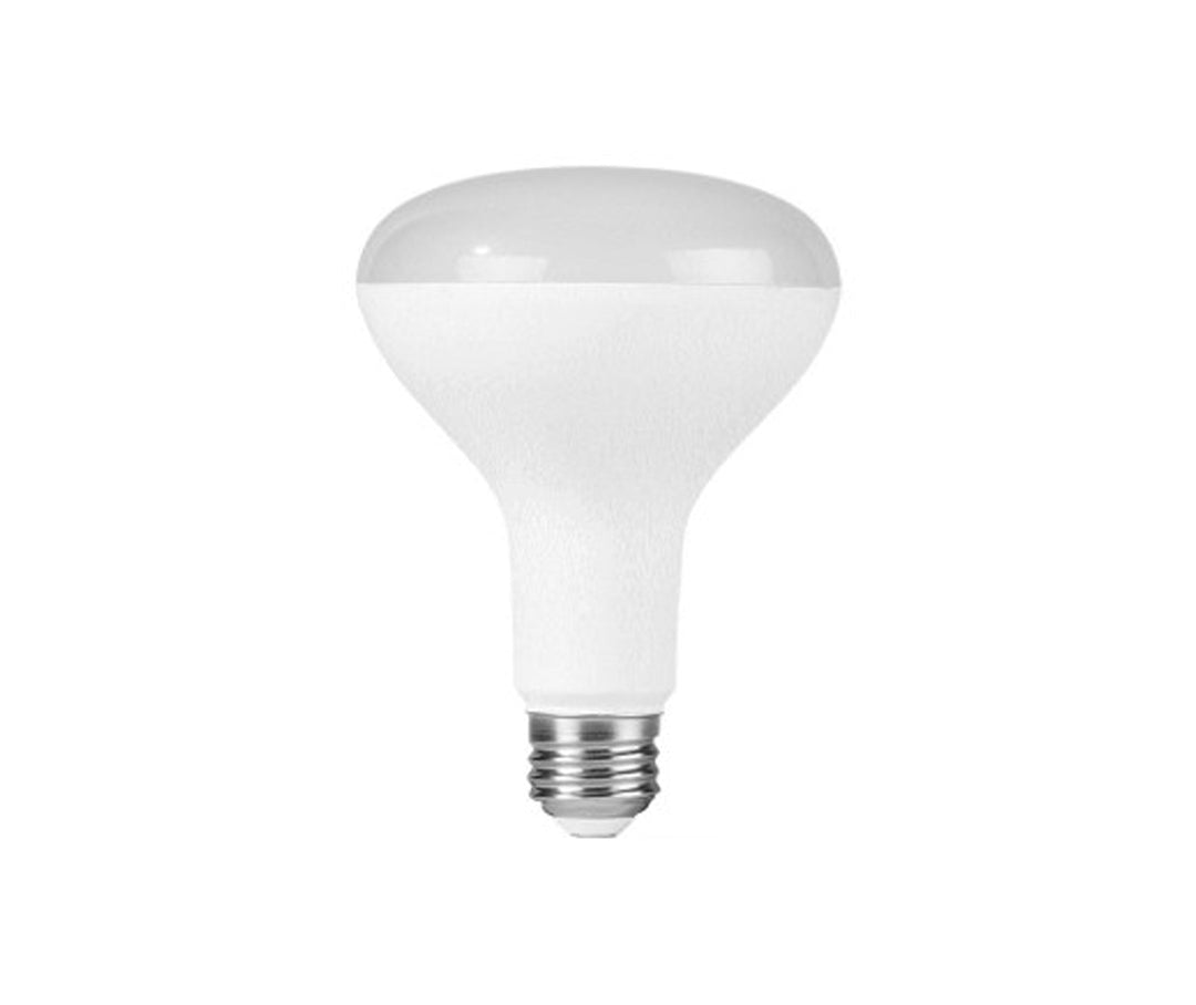 BR30 3000K 2-PACK Light Bulbs By Toronto LED - available from The Lighting Shoppe, trusted by Canadian homeowners