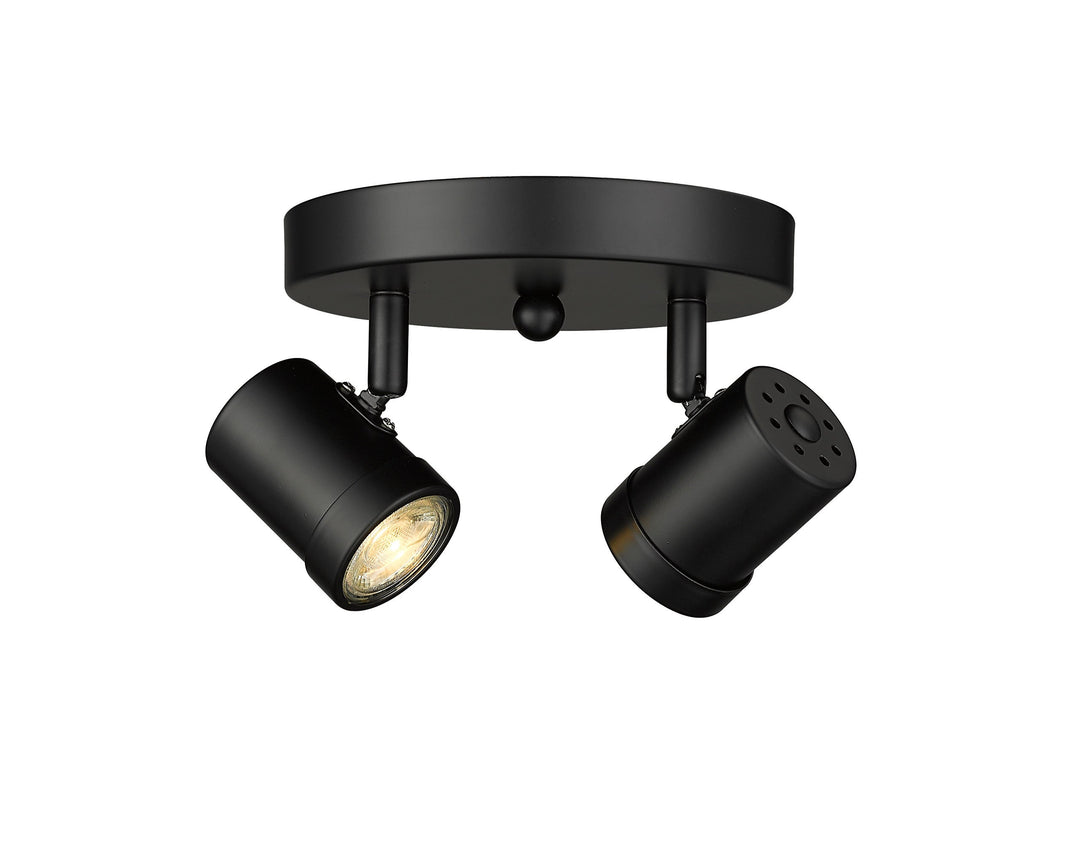 Spot-On Two Light Multi-Finish Flush Mount Black Mirage Lighting