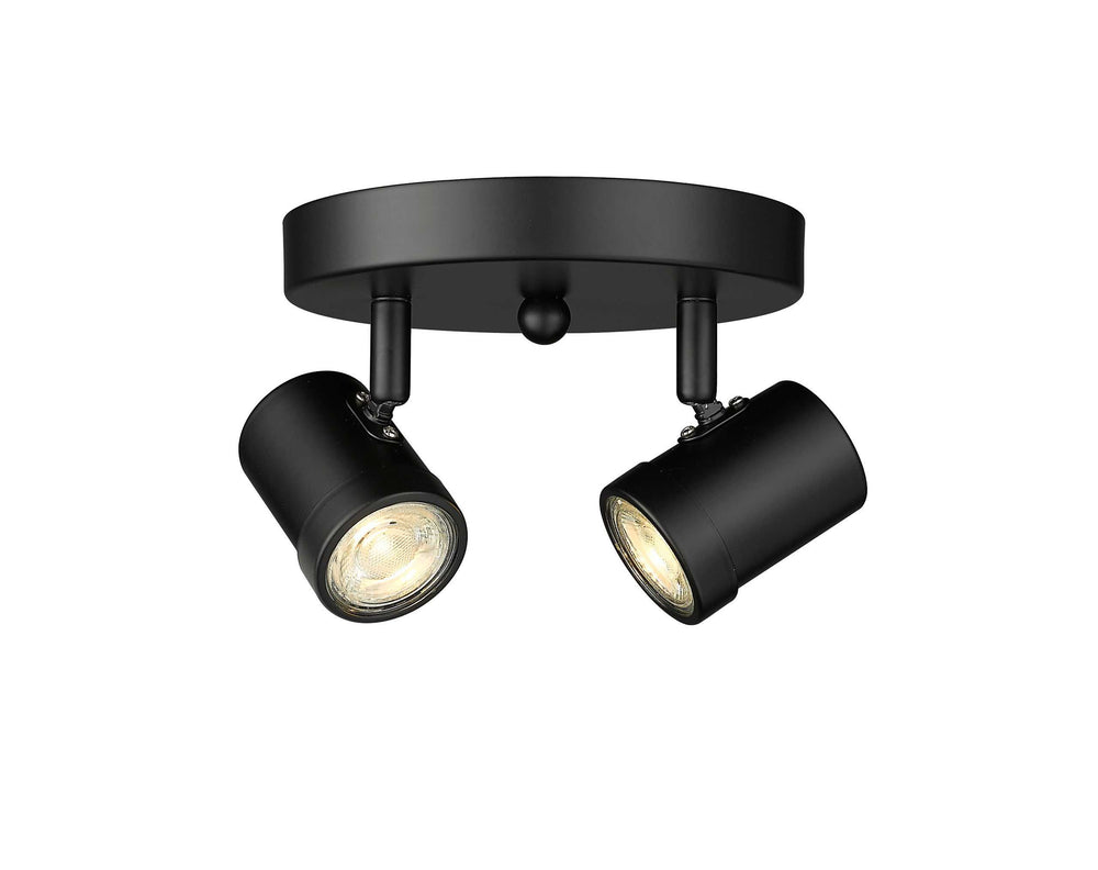 Spot-On Two Light Multi-Finish Flush Mount Black Mirage Lighting