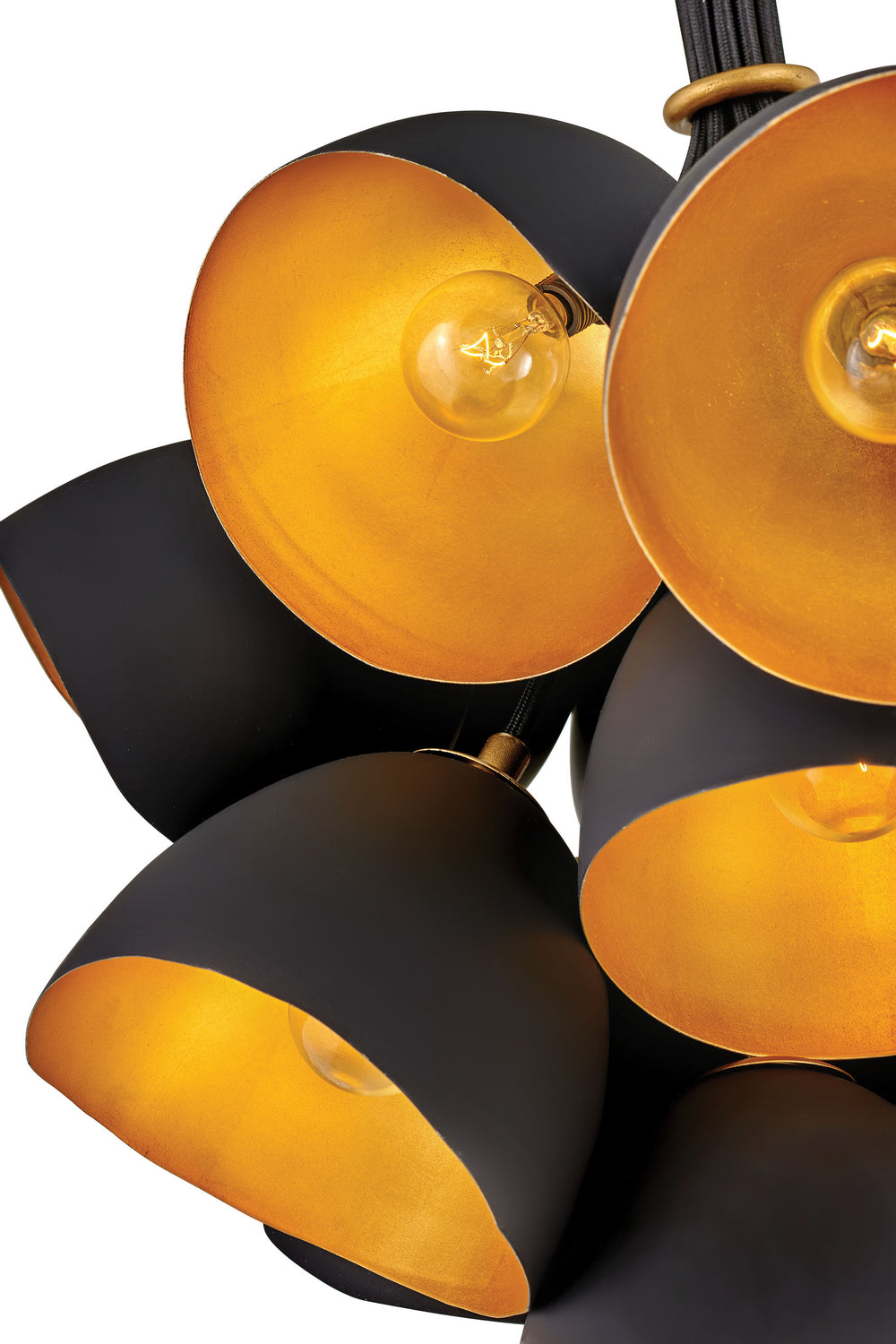 Hinkley Canada - 35906SHB - LED Chandelier - Nula - Shell Black