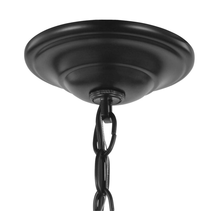 Progress Canada - P3827-31 - Four Light Pendant - Equinox - Black