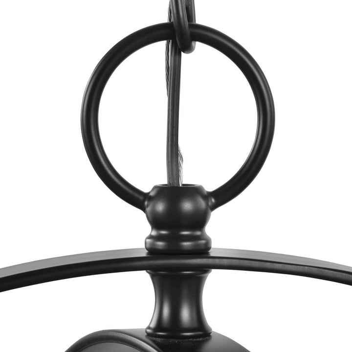 Progress Canada - P3827-31 - Four Light Pendant - Equinox - Black