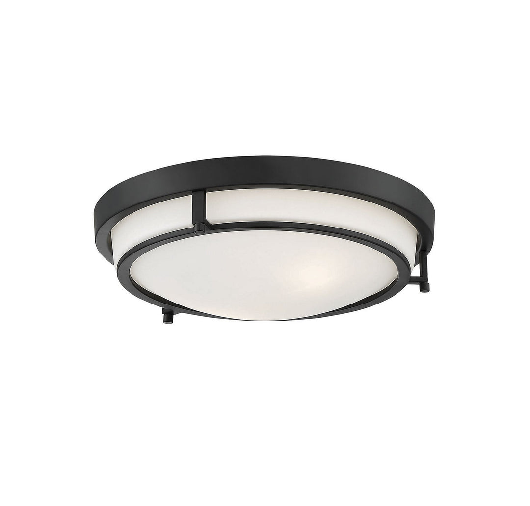 Meridian - M60019MBK - Two Light Semi-Flush Mount - Mflus - Matte Black