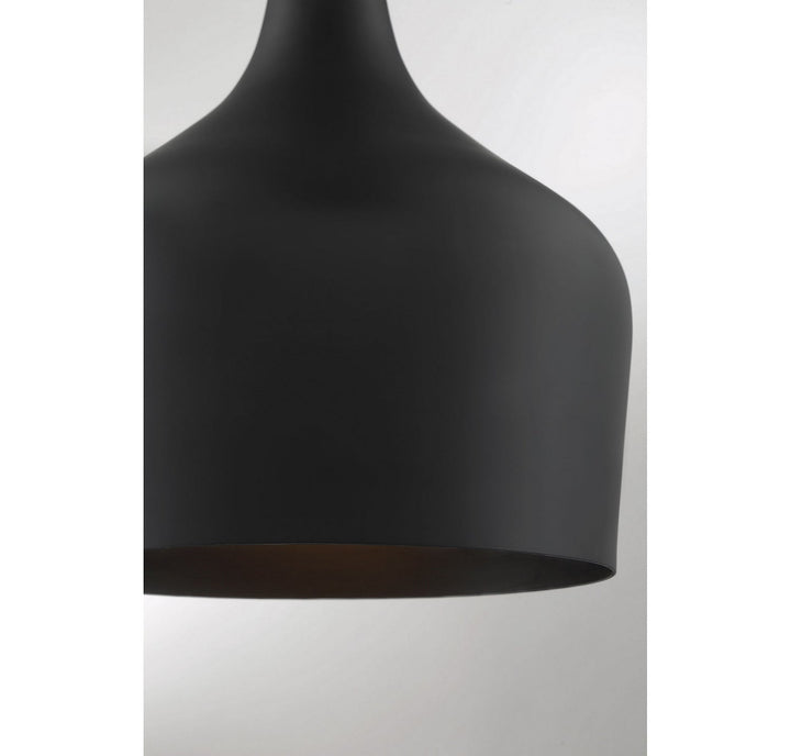 Meridian - M70020MBK - One Light Pendant - Mpend - Matte Black