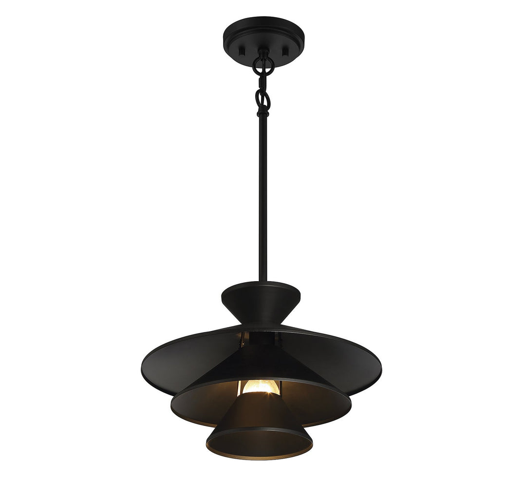 Meridian - M70096MBK - One Light Pendant - Matte Black