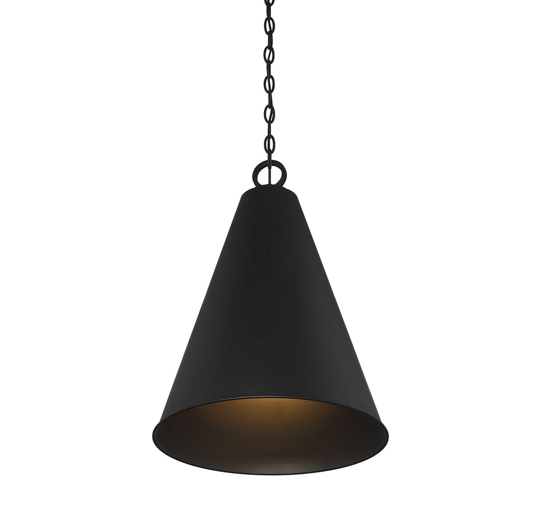 Meridian - M70112MBK - One Light Pendant - Matte Black