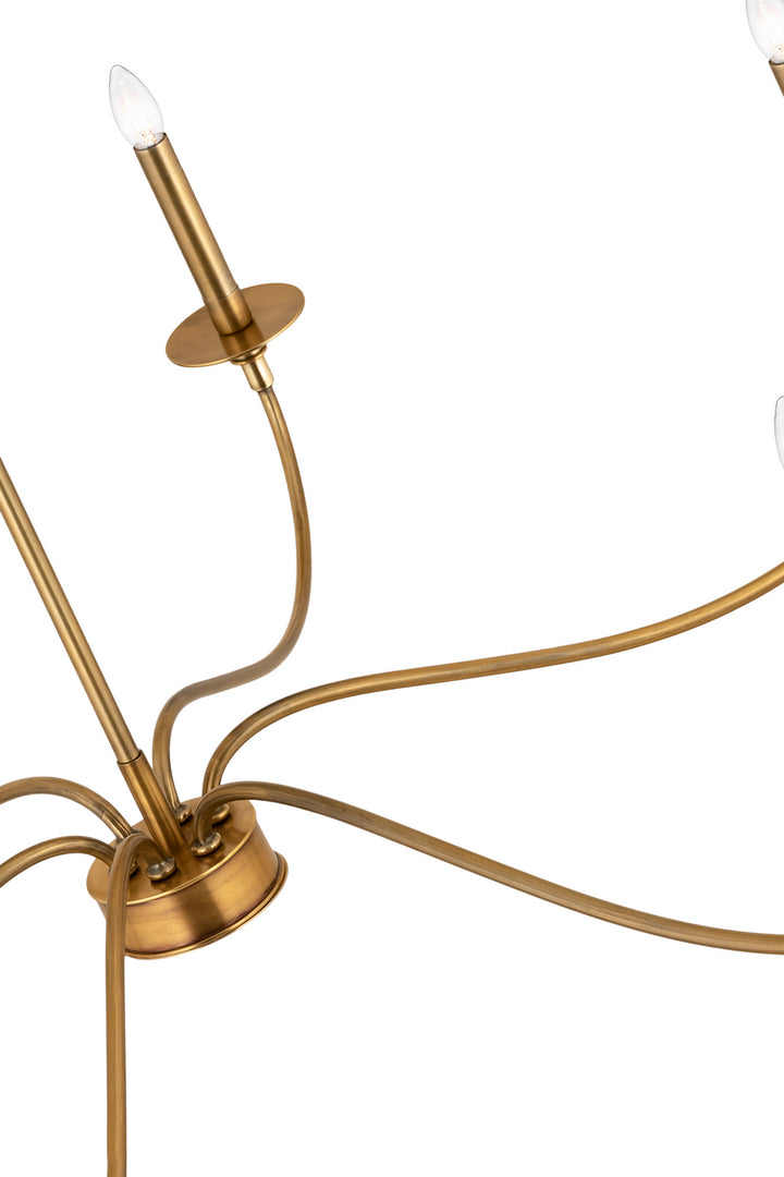 Z-Lite Canada - 2301-42RB - Six Light Chandelier - Arrington - Rubbed Brass