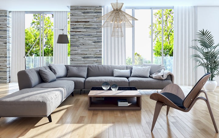 Z-Lite Canada - 6015-8PN - Eight Light Chandelier - Alito - Polished Nickel