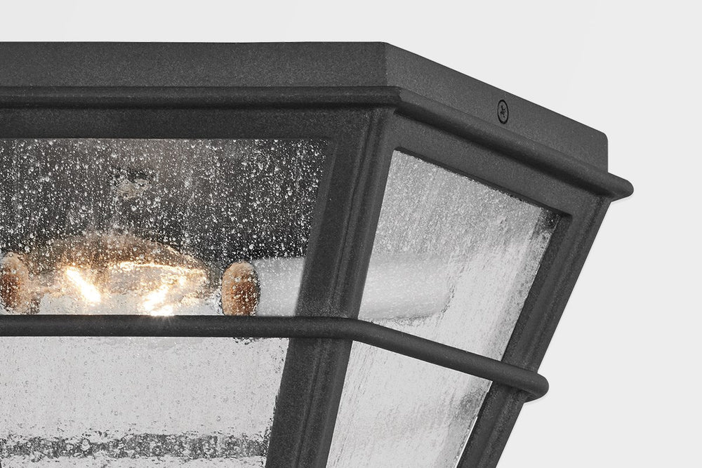 Troy Lighting Canada - C2514-FRN - Two Light Flush Mount - Lake County - French Iron