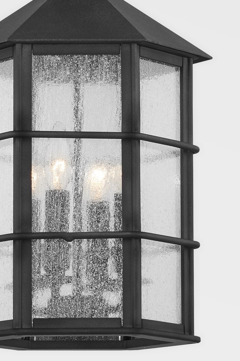 Troy Lighting Canada - F2526-FRN - Four Light Outdoor Lantern - Lake County - French Iron