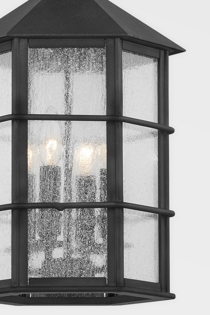 Troy Lighting Canada - F2526-FRN - Four Light Outdoor Lantern - Lake County - French Iron