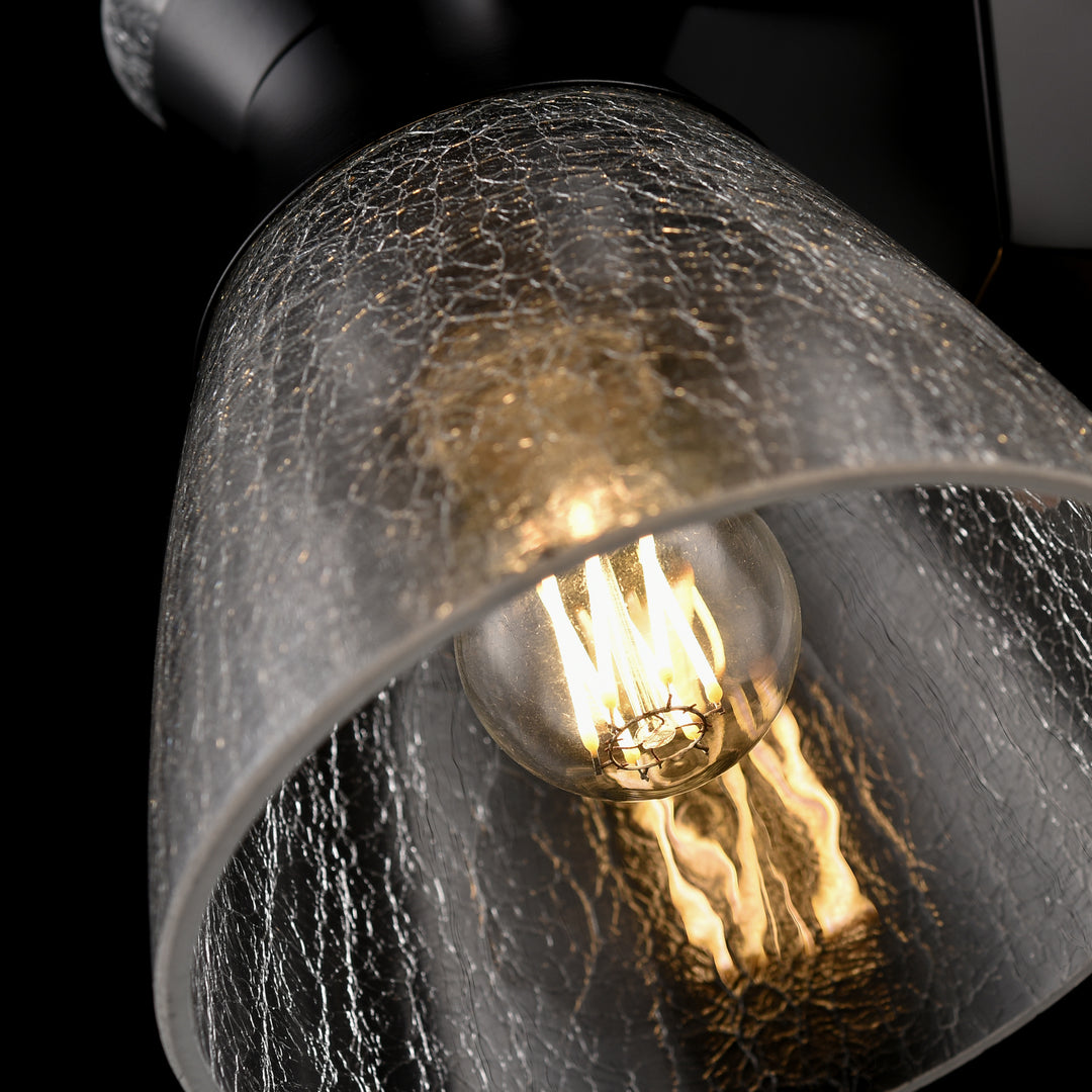DVI Canada - DVP47401EB-CRK - One Light Wall Sconce - Sunnybrook - Ebony w/Crackle Glass