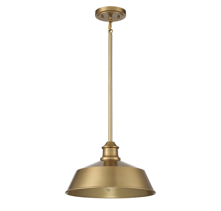 Meridian - M7021NB - One Light Pendant - Natural Brass