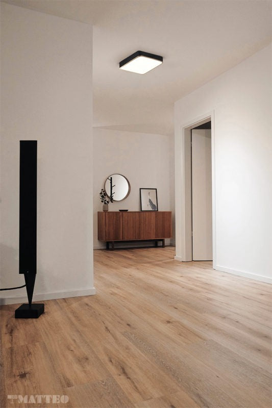 Matteo Canada - M10545BKAG - LED Ceiling Mount - Ainslay - Black + Aged Gold Brass