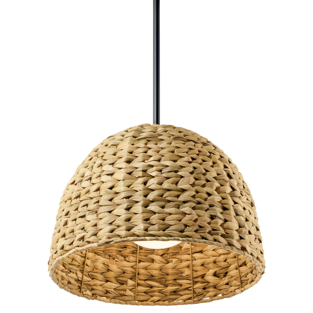 Kichler Canada - 44399BK - One Light Mini Pendant - Raffiana - Black